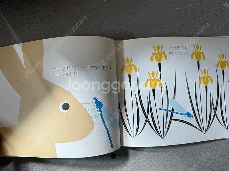키즈엠 춤추는 카멜레온 그림책 88권이에요 택포--8