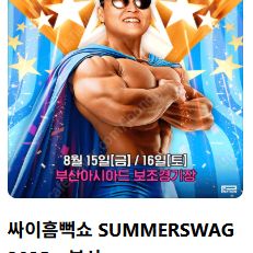 2025 싸이 흠뻑쇼 콘서트 부산 , 대구 , 대전 , 광주 / SR스탠딩,지정석 양도