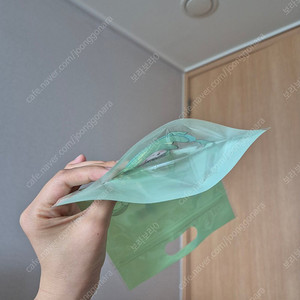 남자아이가 좋아하는 공룡 구디백 50장 일괄