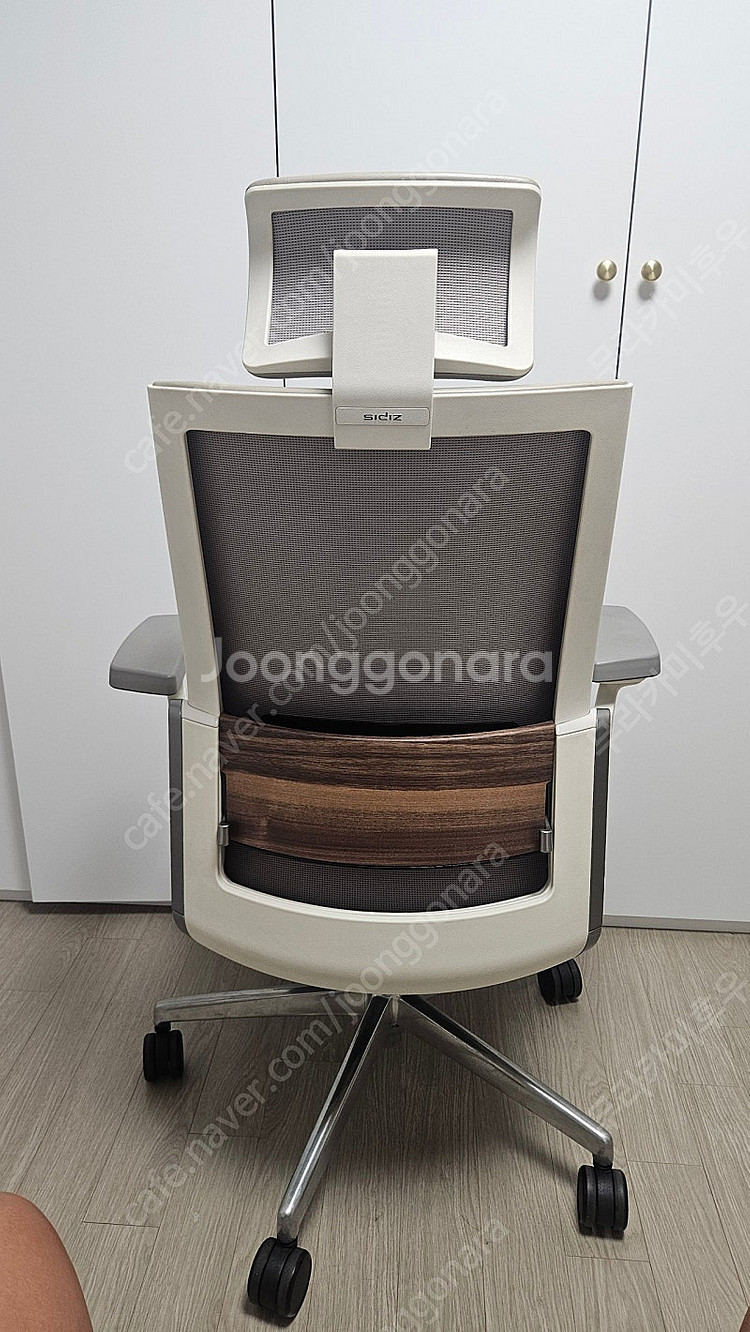 시디즈 t80--1