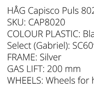 하그 카피스코 풀스 8020 HAG Capisco Puls 8020 블랙, 실버 조합