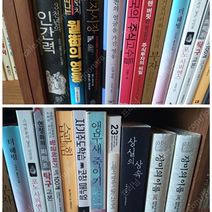 더해빙 , 그림자시장, 상실의 상속, 장미의 이름, 습관의 힘, 현정화 탁구교본, 외