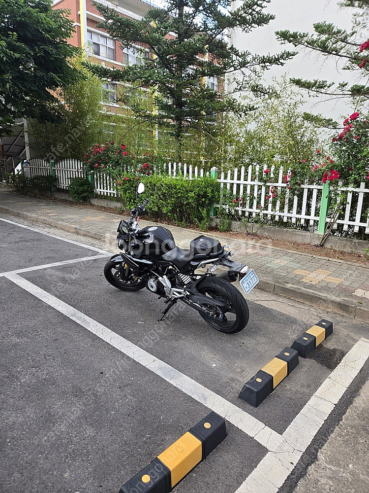 급처 g310r 17년식--5