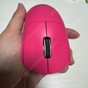 지슈라2 마젠타