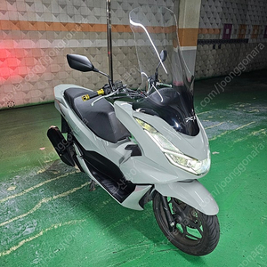 올 뉴 PCX 125 그레이화이트 21년식 판매합니다! (경정비완료!)
