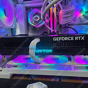 게인워드 RTX 5080 팬텀 팝니다