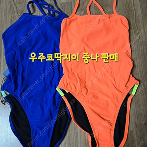 졸린 선키스트개빈 30 일괄