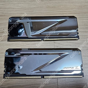Netac DDR5 32GB (16GBx2)