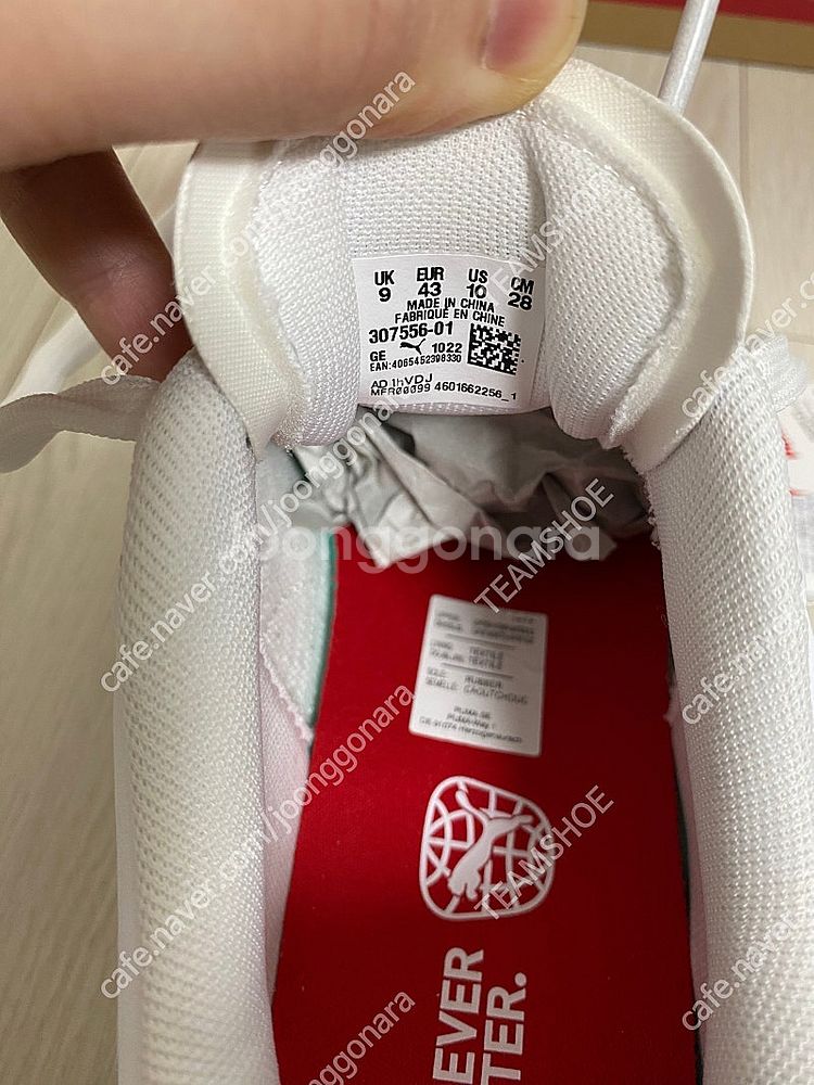 PUMA X MERCEDES BENZ AMG F1 TE...--8