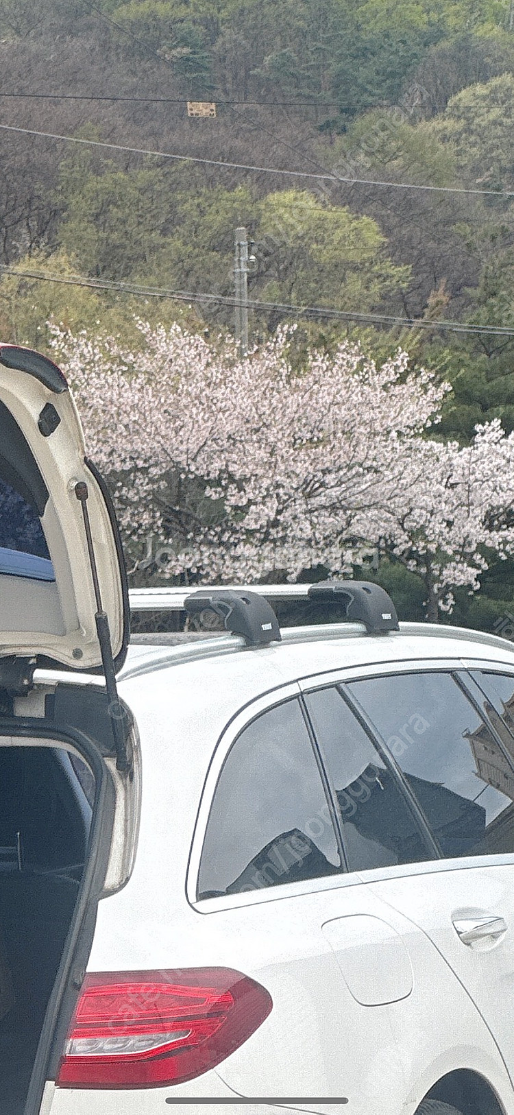 툴레 가로바 자전거루프캐리어--2