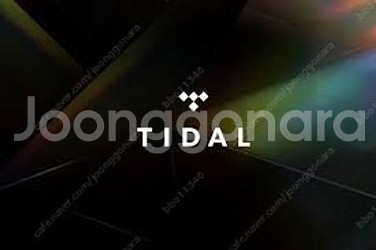 타이달 플러스 계정 1자리 모집 (스포티파이보다 음질 ...--0