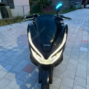 19년식 혼다 더뉴 PCX125 판매합니다. nmax 엔맥스 xmax 엑스맥스 포르자 크루심 보이져 조이맥스