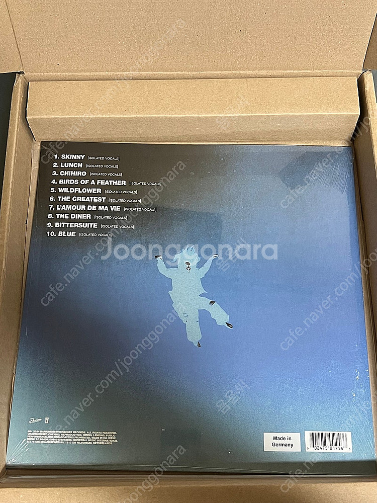 빌리 아일리시 LP--1