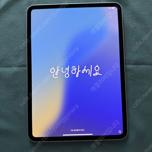 아이패드프로 11 M4, 매직키보드, 애플케어 플러스