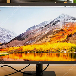 LG 울트라파인 24md4kl