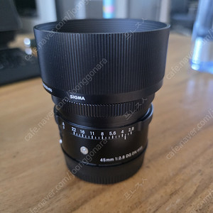 시그마45mm 2.8 소니마운트