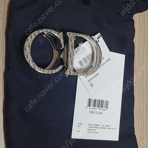 디올 Dior 벨트 버클