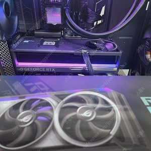 asus rtx 5090 astral oc 팜