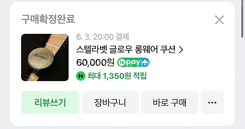 스텔라벳 쿠션 21호--0
