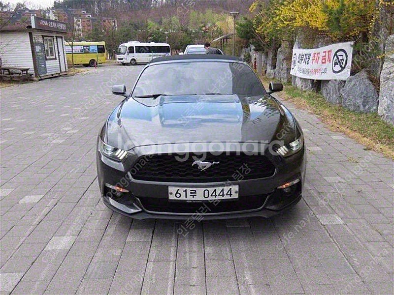포드 머스탱 중고 머스탱 중고차 2017년식 72,41...--0