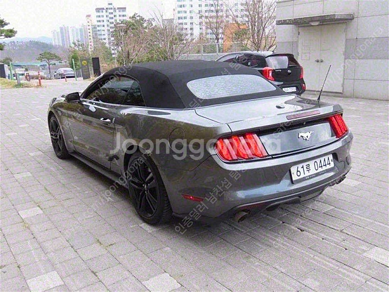 포드 머스탱 중고 머스탱 중고차 2017년식 72,41...--4