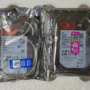시게이트 아이언울프 4TB