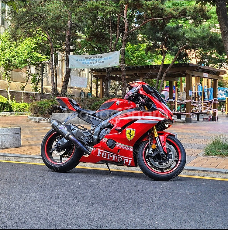 R6 떼르미뇨니 풀배기 판매합니다.--0
