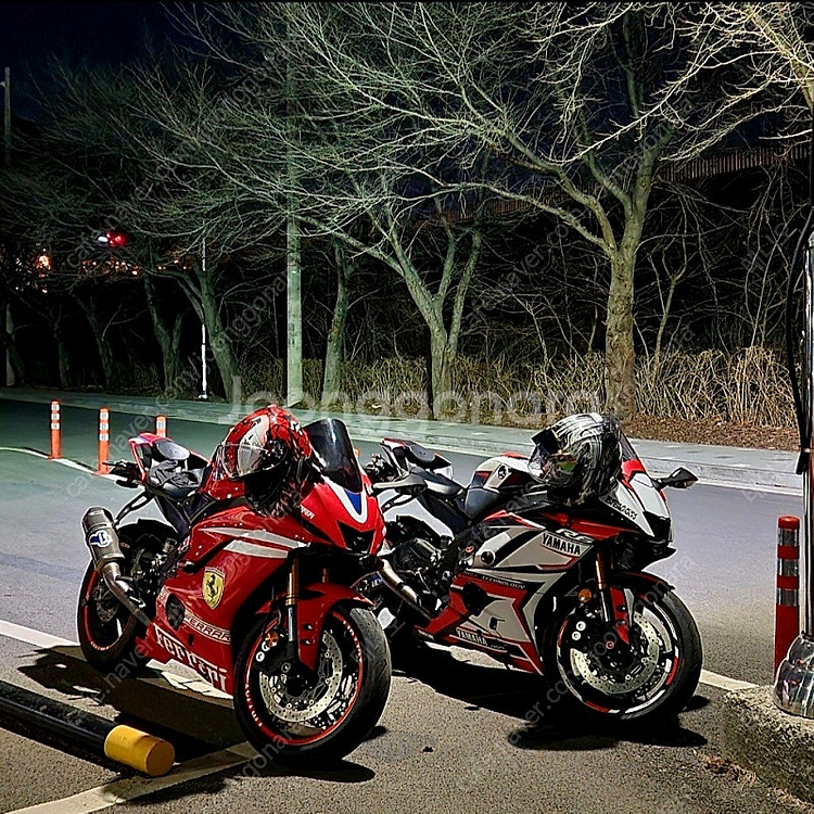 R6 떼르미뇨니 풀배기 판매합니다.--4