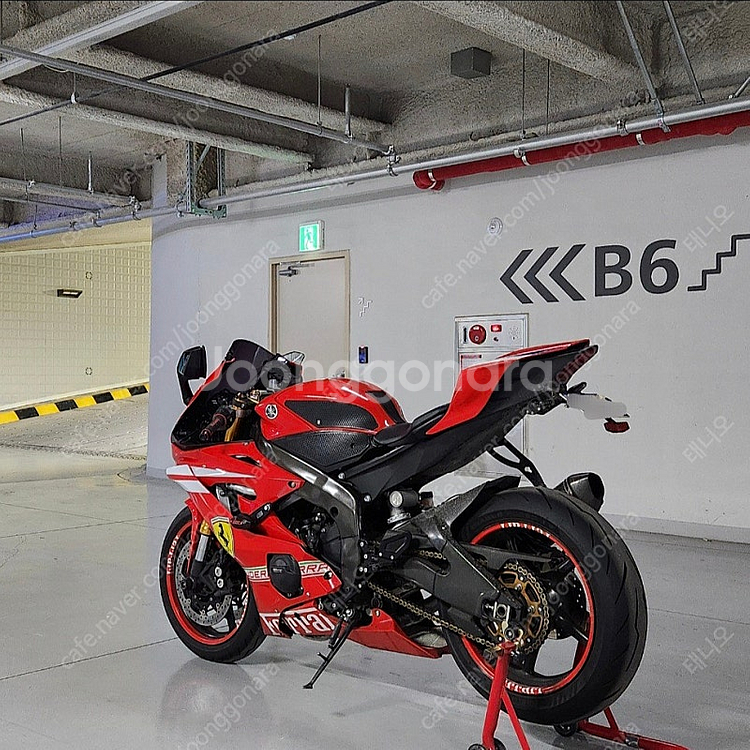 R6 떼르미뇨니 풀배기 판매합니다.--8
