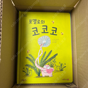 꼬마코끼리 포멜로