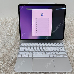 아이패드 프로 M4 13인치 256GB 셀룰러+wifi