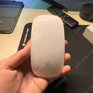 24년 출시 애플 매직마우스 USB C