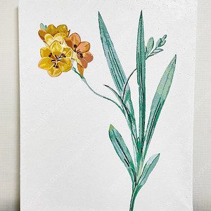 식물화 / 택포 / 명화그리기 / 셀프 인테리어 / 페인팅 / 그림 / 꽃