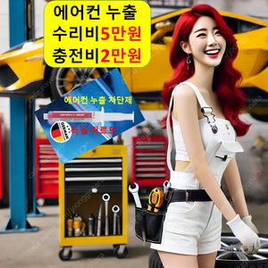 에어컨 충전 2만원/누출 수리 5만원/금산,옥천,계룡,영동,익산,군산,서천,김제,전주,완주,부안,임실,장수,평택,진안,무주,정읍,장성,고창,영광,담양,순창,남원,함양,산청,구례,곡