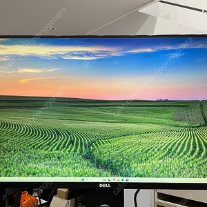 Dell S2716DG 27인치 144hz 지싱크 모니터 판매합니다