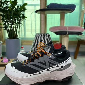 카일라스 - Kailas EX3 - GTX ( 남성 EUR42 / 한국265 사이즈 )