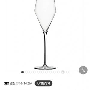 잘토 샴페인 글라스 2P
