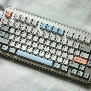 Owlab Jelly Evolv (타건영상)