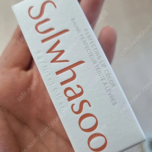 설화수 퍼펙팅 립스틱 로즈
