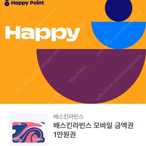 배스킨라빈스 1만원 금액권