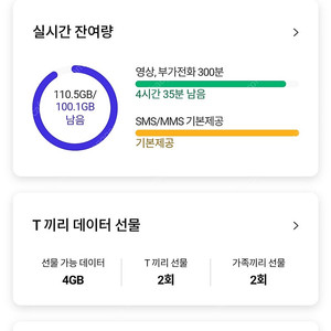 SK데이터 2기가