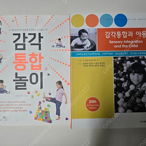감각통합놀이,감각통합과 아동 일괄 판매합니다