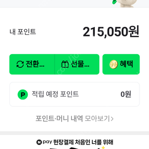네이버페이 포인트 21만