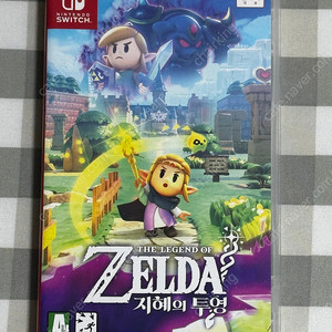 닌텐도 스위치 젤다의 전설 지혜의 투영
