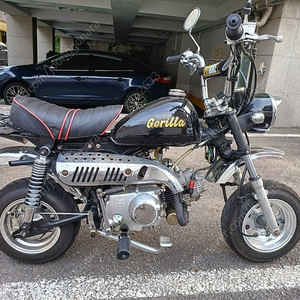 중몽 50cc