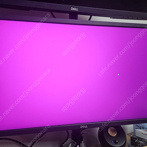 dell 모니터 2422hs (스피커내장) 2대 팝니다