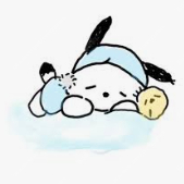 세븐틴, 데이식스, 임영웅 등 대리 댈티 진행합니다.