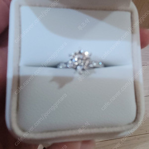 1캐럿 18k 랩다이아 화이트골드 반지