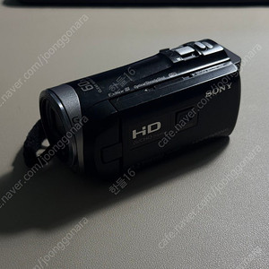 소니 HDR-PJ340