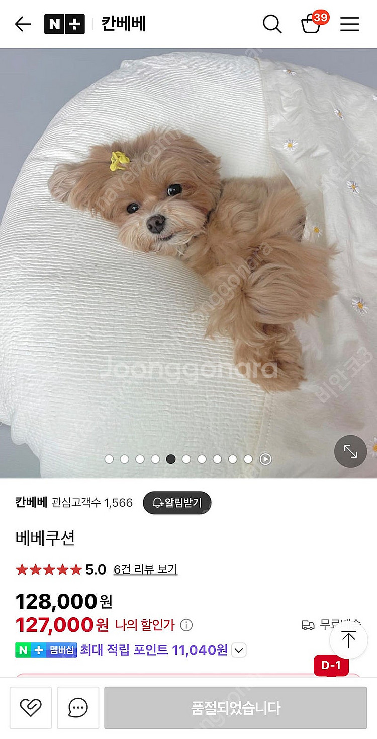 강아지 쿠션--2